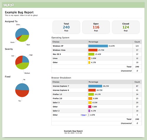 Example Bug Report